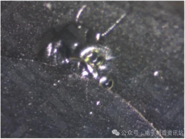 NG车把手体式显微镜图片
